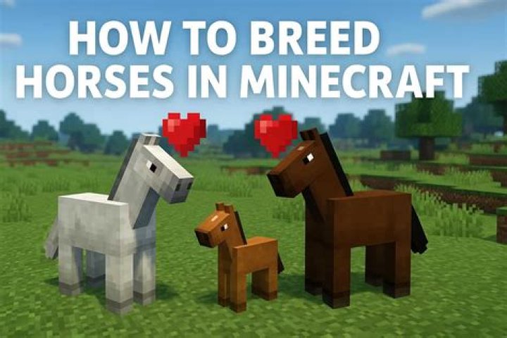 How do you breed horses in minecraft pe