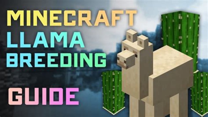 How do you steer a llama in minecraft