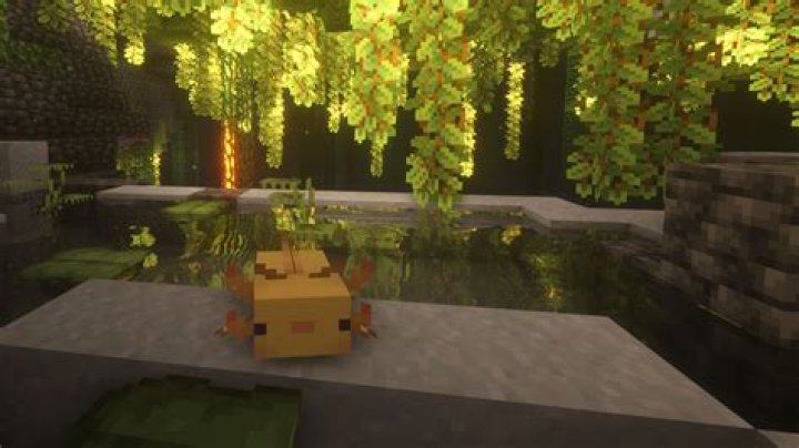 How do you tame a axolotl in minecraft