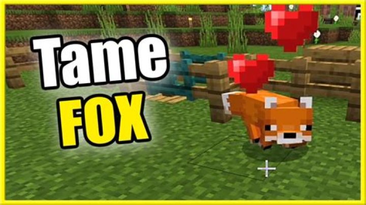 How do you tame a fox in minecraft