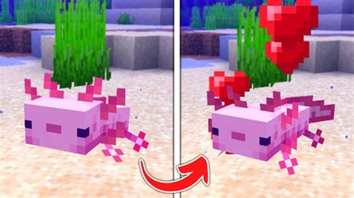 How do you tame an axolotl in minecraft