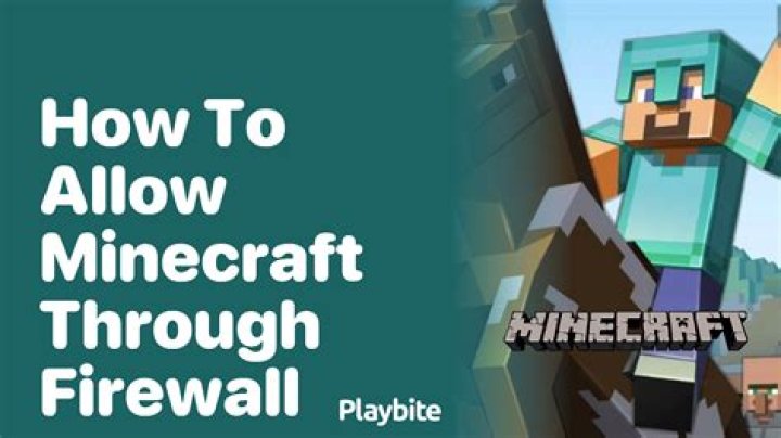 How to allow minecraft to use public networks