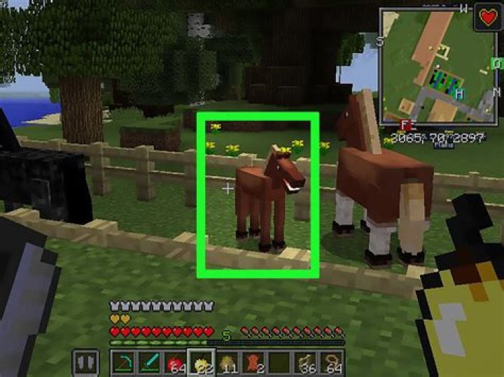 How to breed a horse in minecraft pe