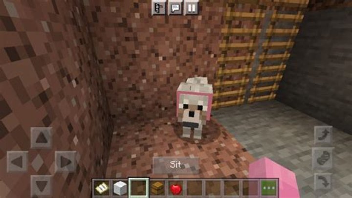 How to change a dog’s collar in minecraft