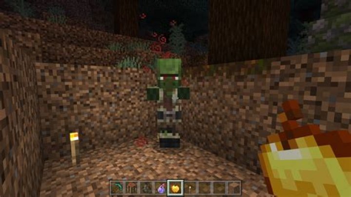 How to cure a zombie villager in minecraft