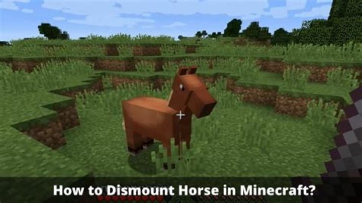 How to dismount a horse in minecraft pc