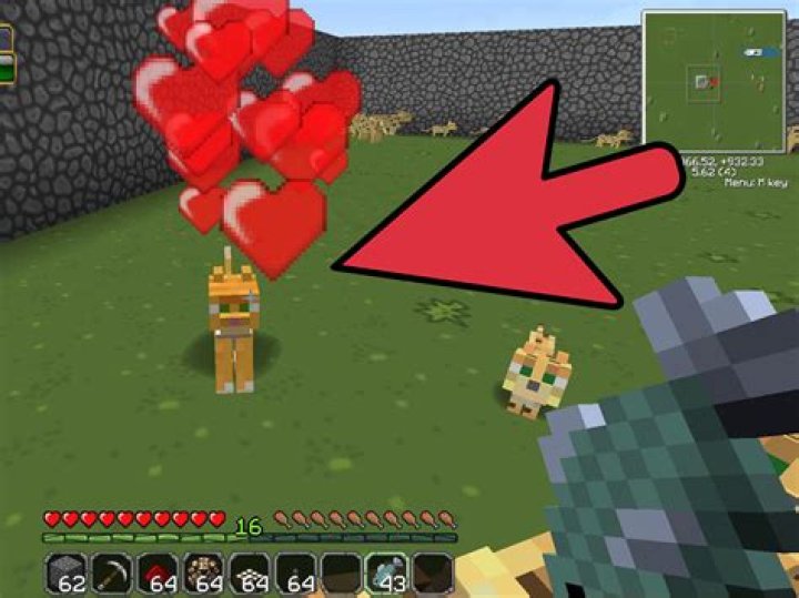 How to find an ocelot in minecraft ps4