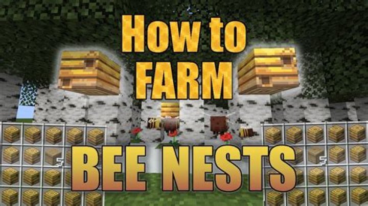 How to get a bee nest in minecraft