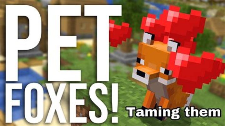 How to get a pet fox in minecraft