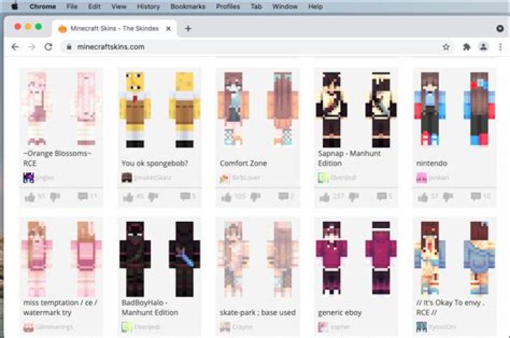 How to get a skin in minecraft java