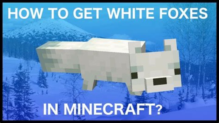 How to get a white fox in minecraft