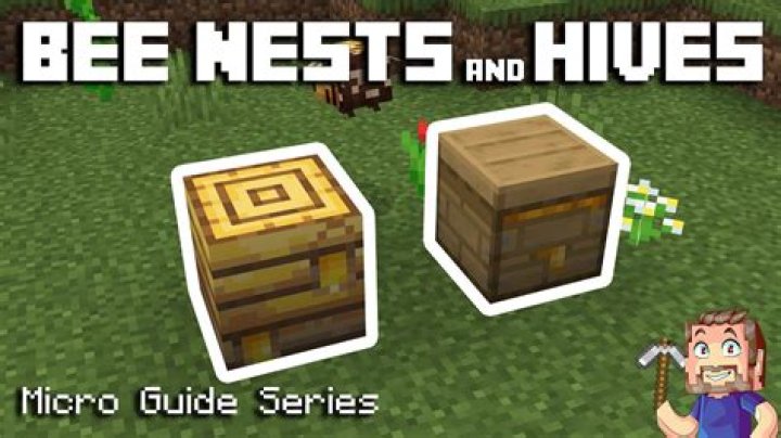 How to get bees in your beehive minecraft