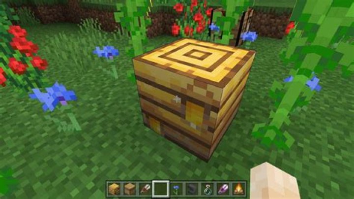 How to get honey from a beehive minecraft