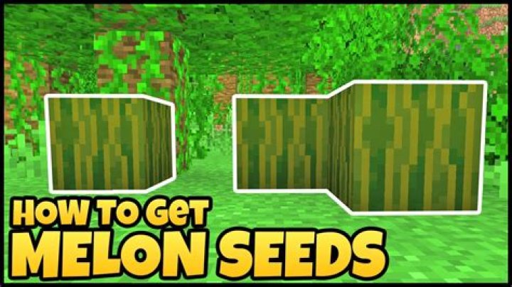How to get melon seeds in minecraft pe