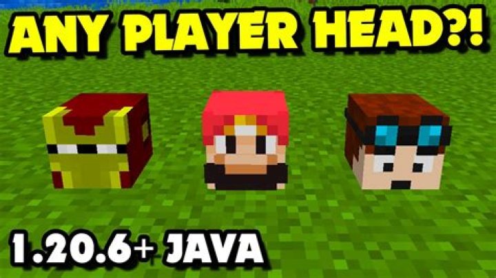 How to get player heads in minecraft 1.16