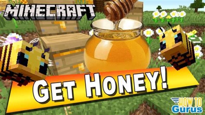 How to harvest honey from a beehive minecraft
