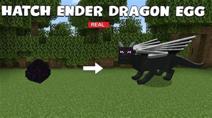 How to hatch a dragon egg in minecraft
