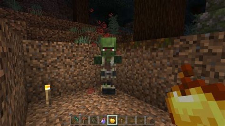 How to heal a zombie villager in minecraft