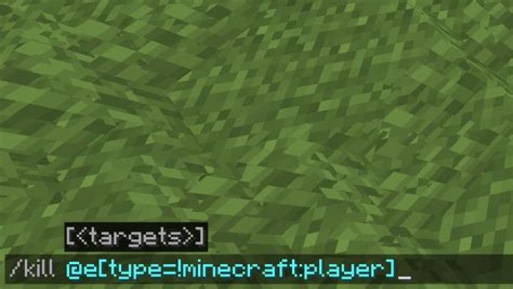 How to kill a specific entity in minecraft