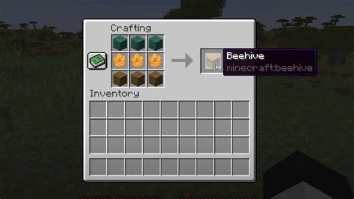 How to live inside a beehive in minecraft