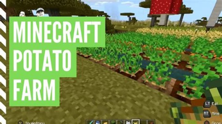 How to make potatoes grow faster in minecraft