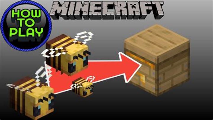 How to pick up a beehive in minecraft