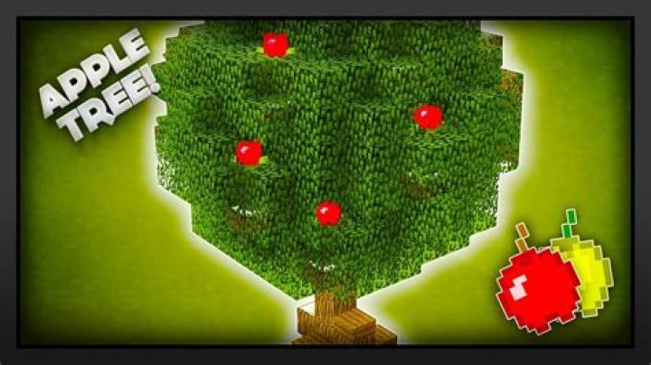 How to plant an apple tree in minecraft