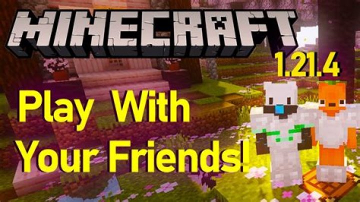How to play with other people on minecraft
