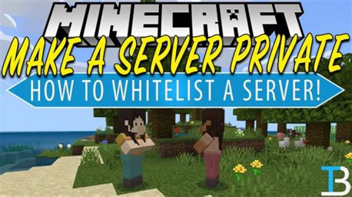 How to set up a whitelist minecraft server