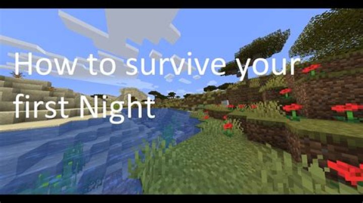 How to survive your first night in minecraft