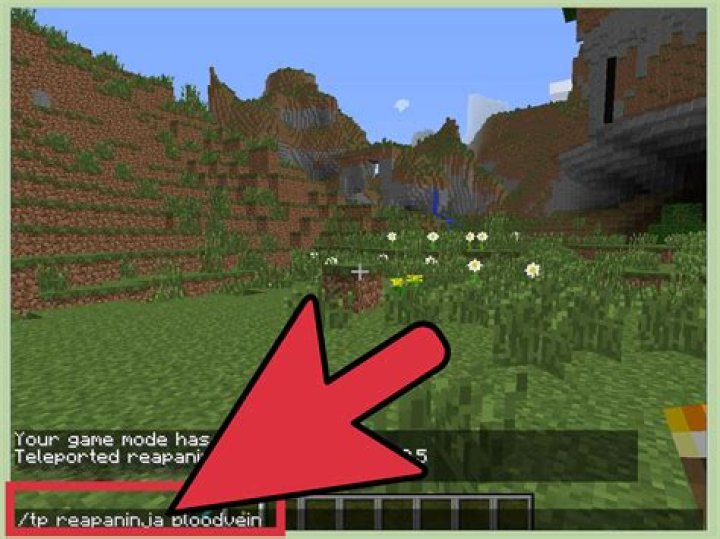 How to teleport people to you in minecraft