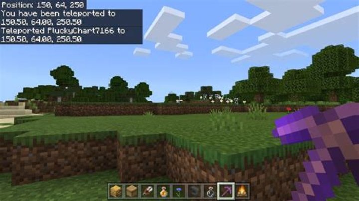 How to tp people to you in minecraft