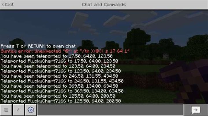 How to tp someone to you in minecraft
