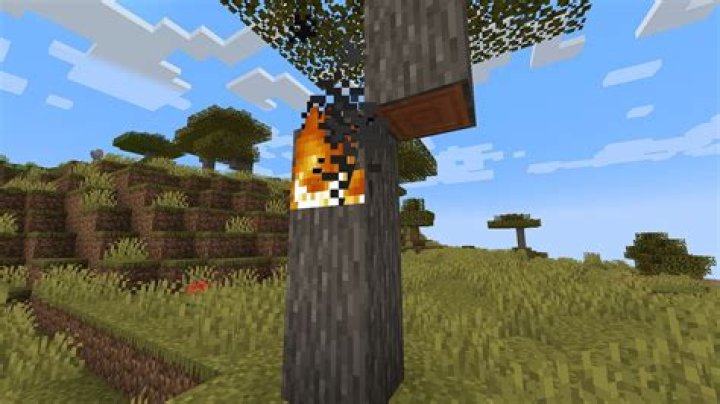 How to turn fire tick off in minecraft