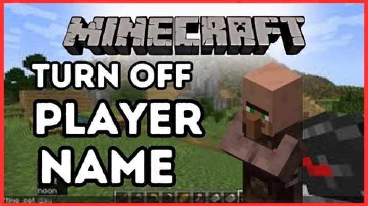 How to turn off player names in minecraft