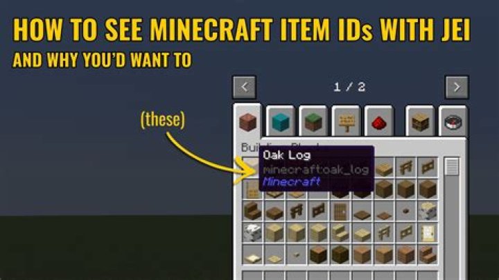 Minecraft how to find item ids for mods
