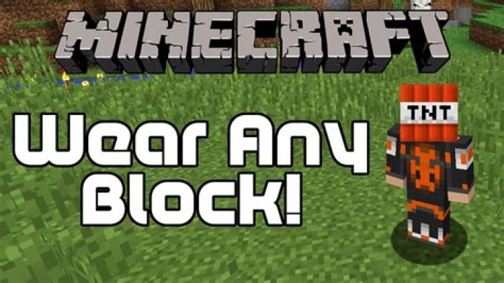 Minecraft how to put blocks on your head