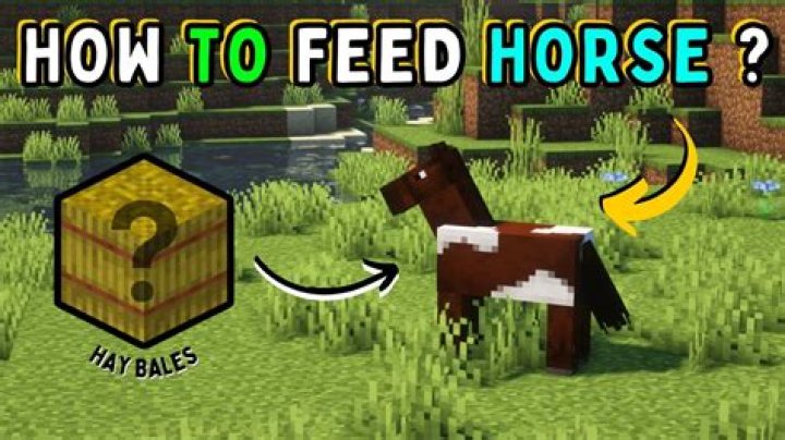 What can you feed a horse in minecraft