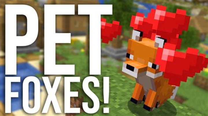 What do foxes eat in minecraft to tame