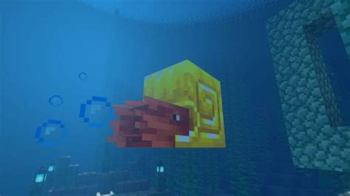 What is the new mob in minecraft 1.17