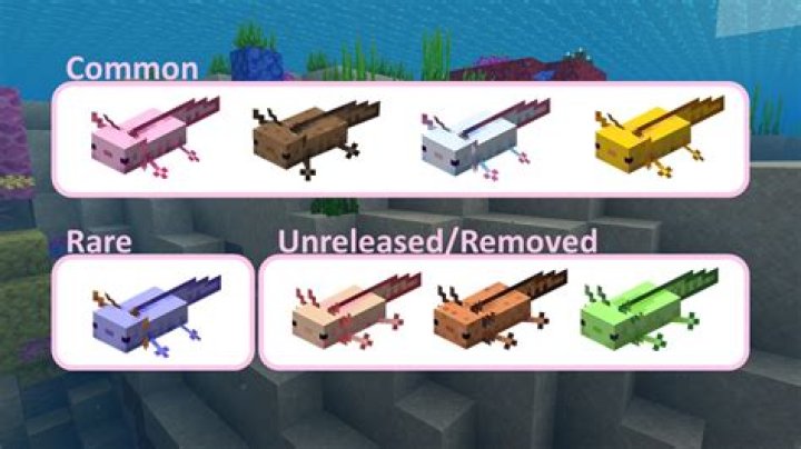What is the rarest axolotl color in minecraft