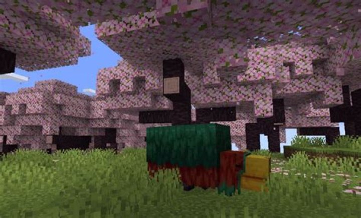 What is the seed for minecraft hunger games