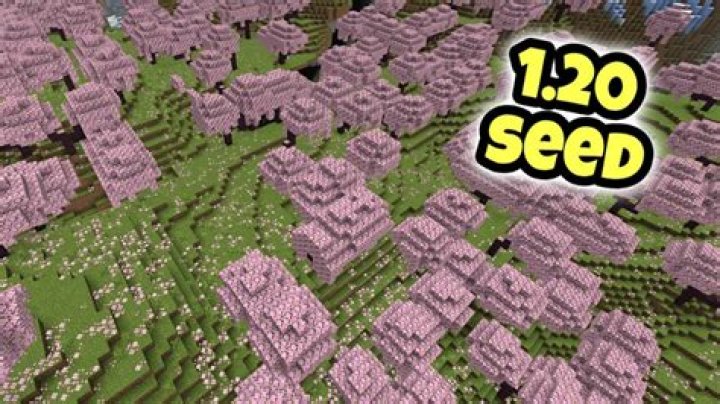 What is the seed for one block minecraft