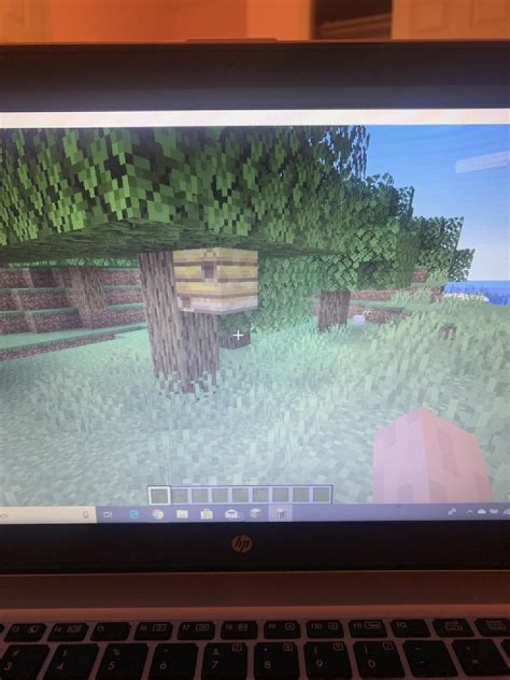 When is the bee update coming out minecraft