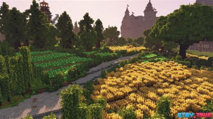 Where do you put texture packs in minecraft
